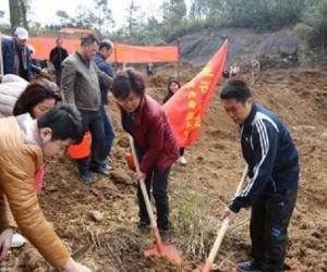 福建省侨界青年赴侨乡梅洋开展义务植树活动