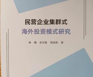 厘清机理推动民企集群式海外投资