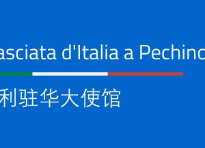 签证相关信息 Informazione sui visti