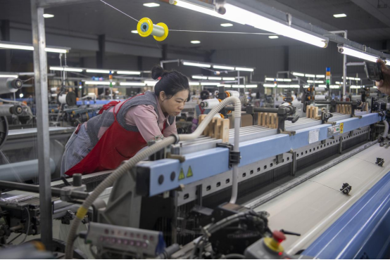 广西忻城“桑蚕之乡”以科技重塑产业“新丝路” 