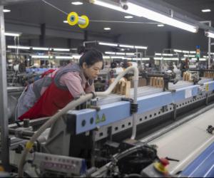 广西忻城“桑蚕之乡”以科技重塑产业“新丝路”