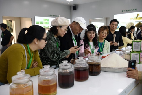 广西来宾甘蔗从传统制糖到绿色科技“甜蜜蜕变” 