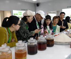 广西来宾甘蔗从传统制糖到绿色科技“甜蜜蜕变”